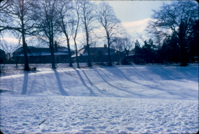 Winter snow, Marsden Park, Nelson