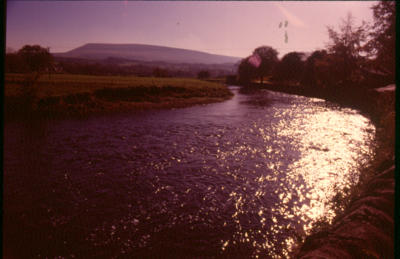 River Ribble at Sawley