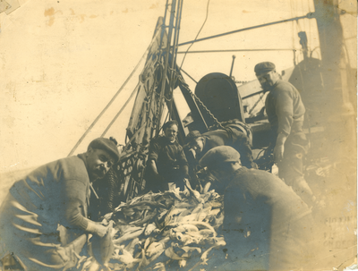 'Gutting the fish on deck', Fleetwood