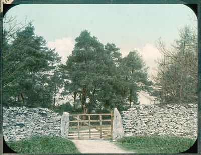 Gateway in Woods, Arnside Knott