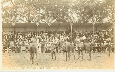 Agricultural Show, Chorley