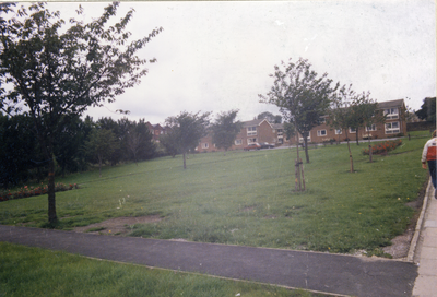 Land off Netherfield Road