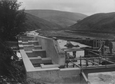 Langden Valley intake and fish pass