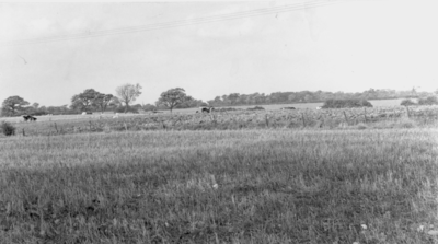 Farmland at Runshaw