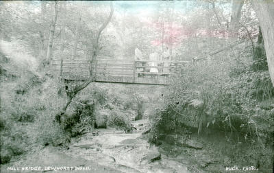 Mill Bridge, Dewhurst Wood