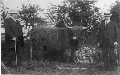 Coronation Ox, Clitheroe