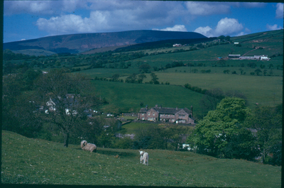 Roughlee with Pendle Hill in background