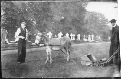 Baldwin's Donkey Lawnmower, Leyland