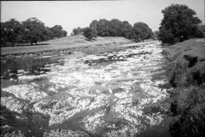 River Ribble, Brungerley, Clitheroe