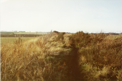 Disused railway line, Westhead, near Ormskirk