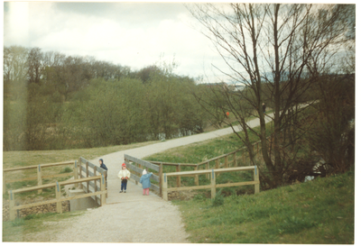 Foxhill Bank nature reserve