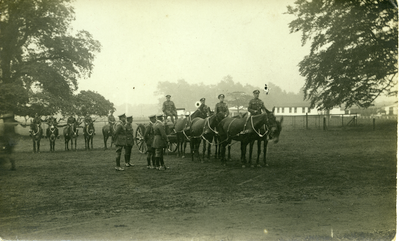 Horses and Troops, Army Remount Depot, Lathom Park