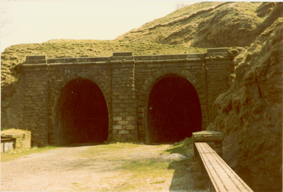 Railway Tunnels at The Glen, Waterfoot