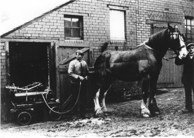 Clipping a horse at Moorfield colliery