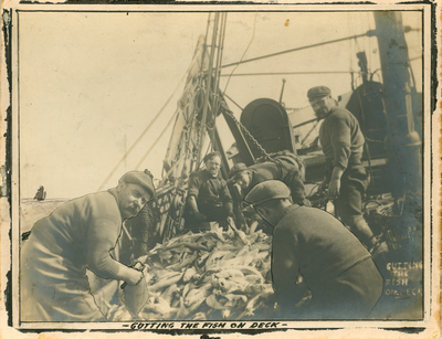 'Gutting The Fish on Deck', Fleetwood