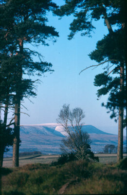 Pendle Hill from east of Catlow Quarries