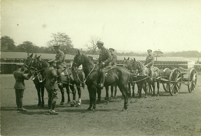 Horses and Troops, Army Remount Depot, Lathom Park
