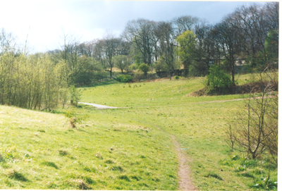 Foxhill Bank nature reserve