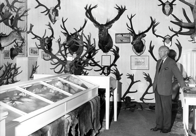 G Kenneth Whitehead, Deer Museum Withnell Fold