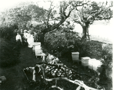 Beehives, Tarleton