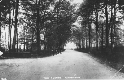 The Avenue, Farington