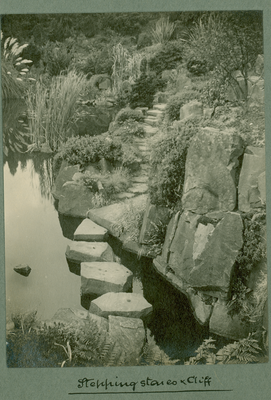 Rock & Water Gardens. Stepping Stones & cliff, Sullom End , Barnacre