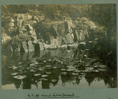 Cliff and Lily Pond, Sullom End Gardens, Barnacre