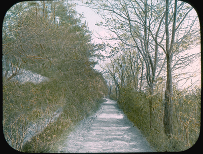 A lane near Heversham
