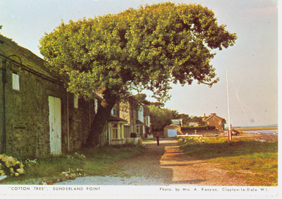 'Cotton Tree' Sunderland Point