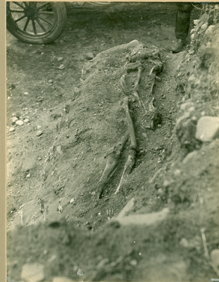 Skeleton remains found on Carnforth level