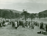 Sheep Fair, Cliviger nr. Burnley