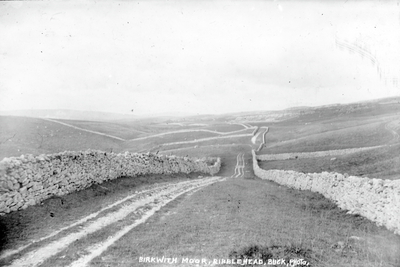 Birkwith Moor, Ribblehead