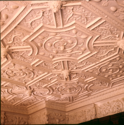 Plaster ceiling, Gawthorpe Hall