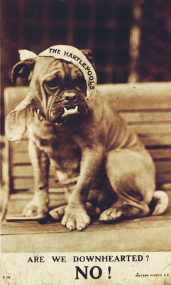 Burnley, postcard of a downhearted dog
